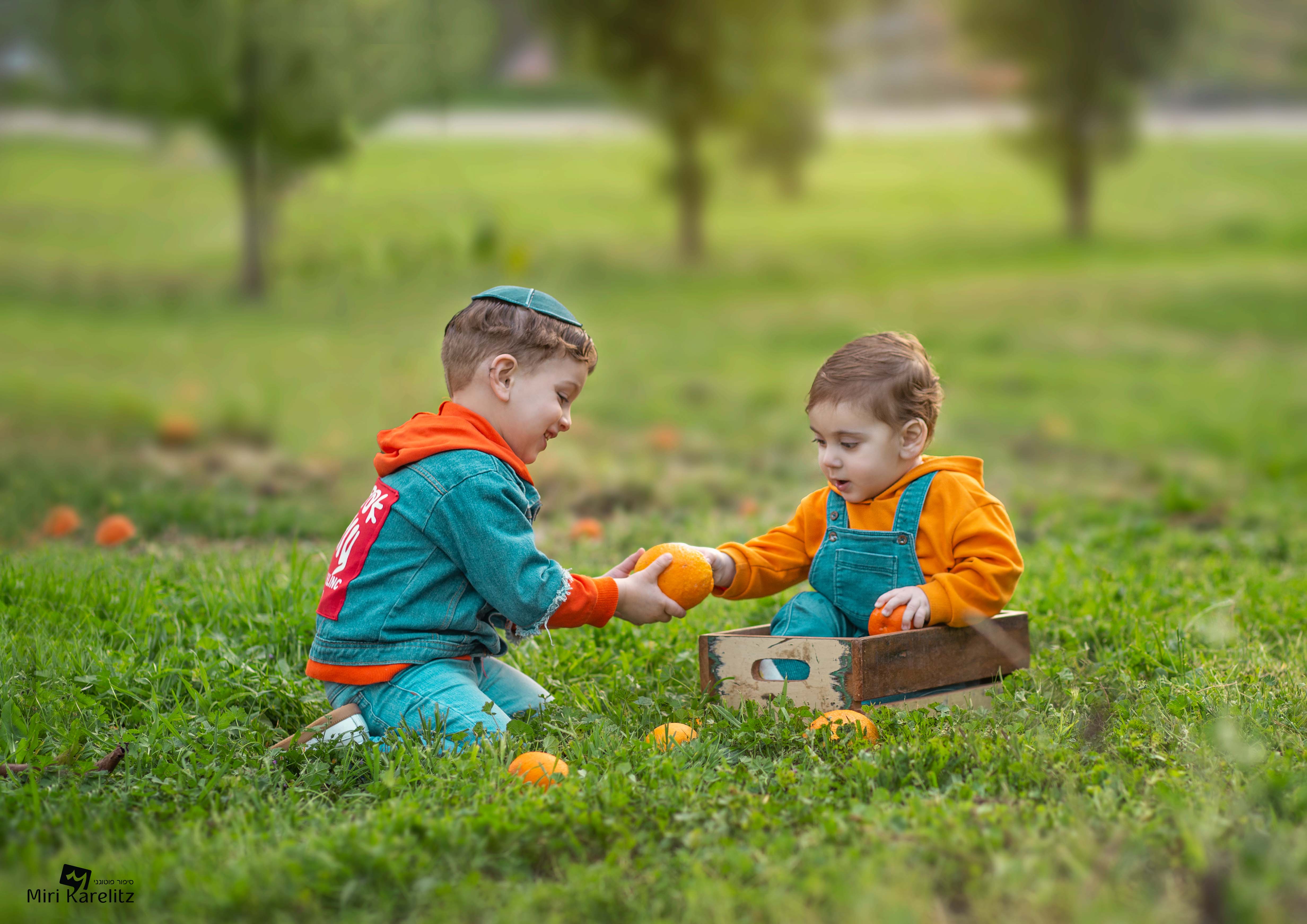 צילומי חלאקה