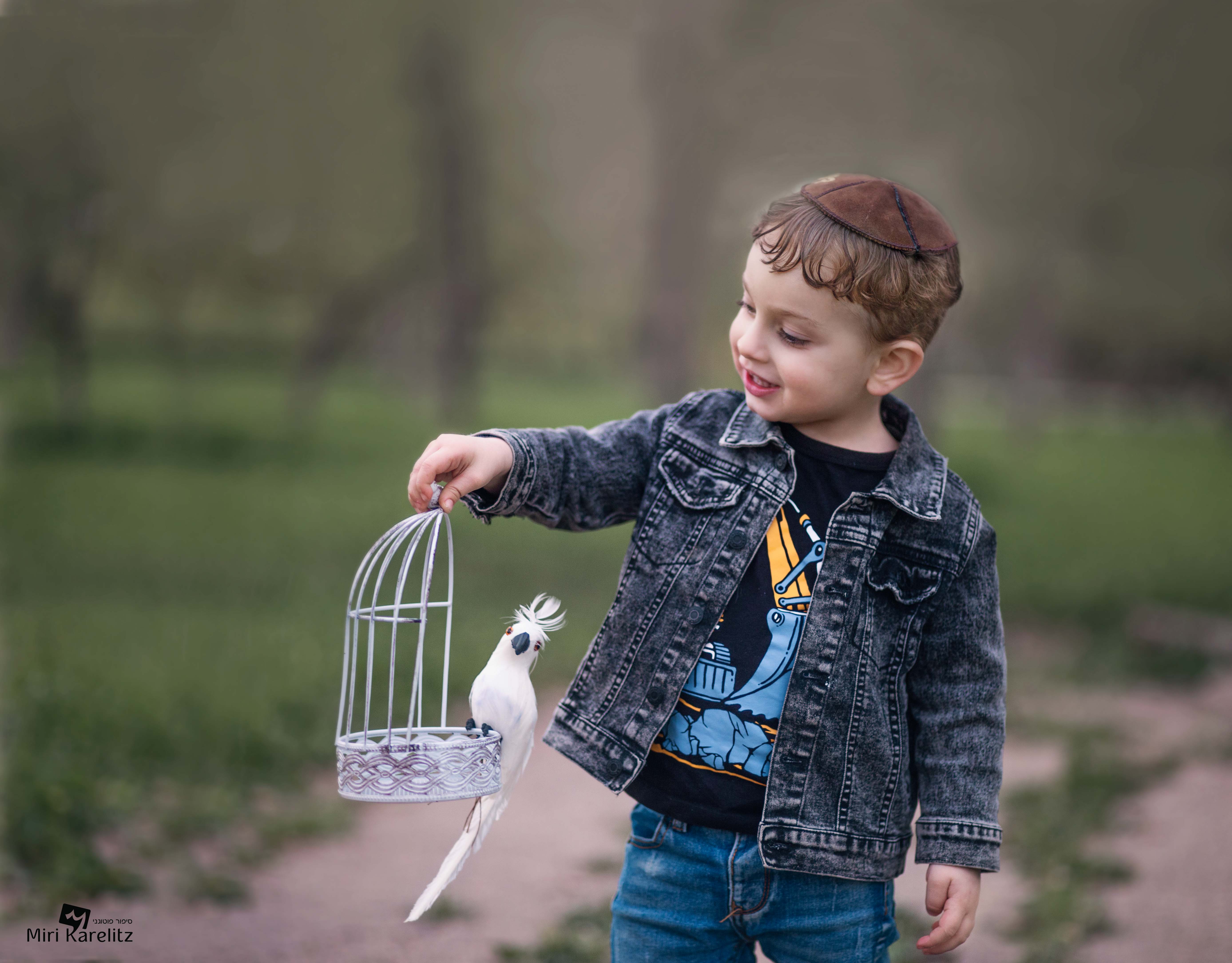 צילומי חלאקה