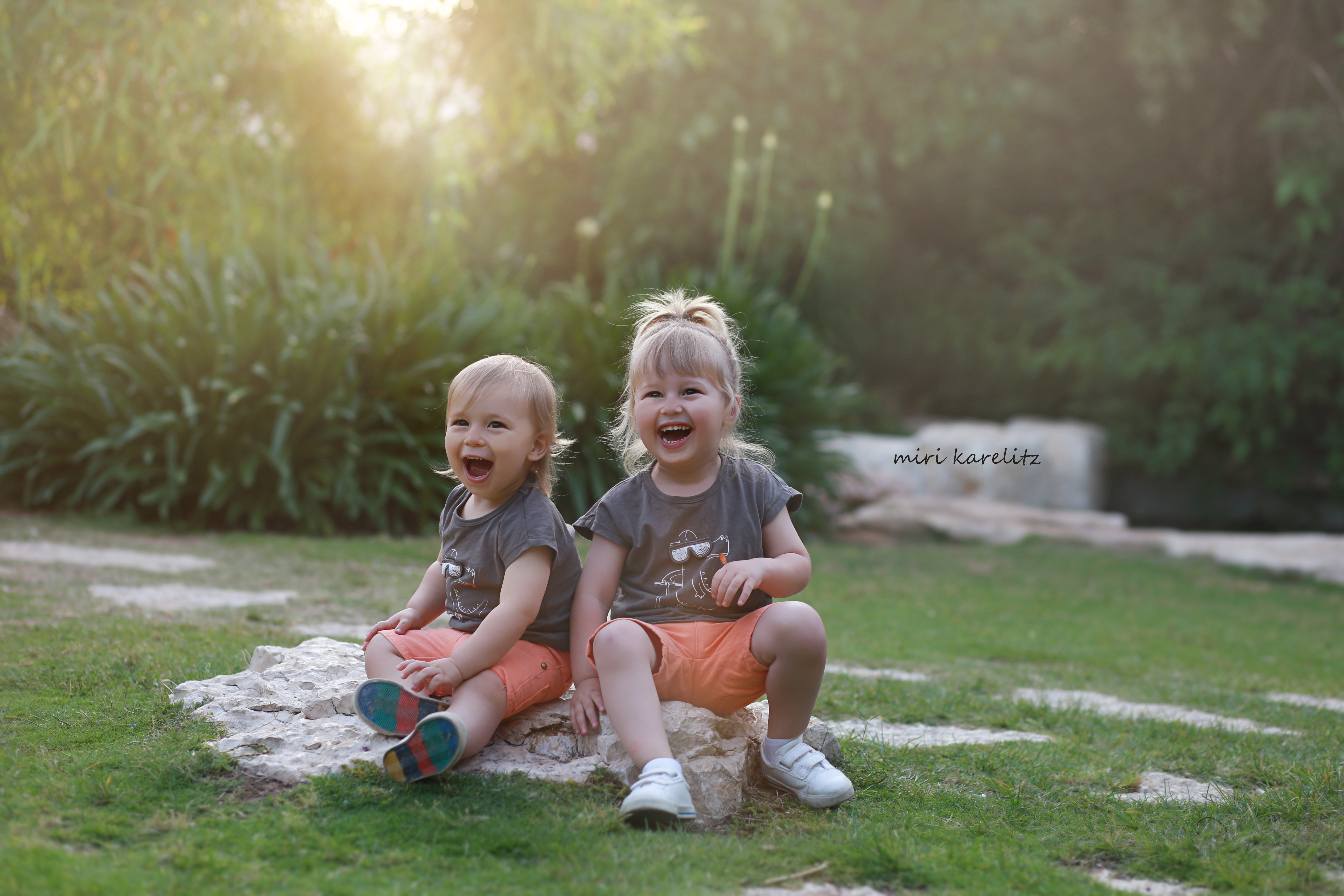 צילומי חלאקה