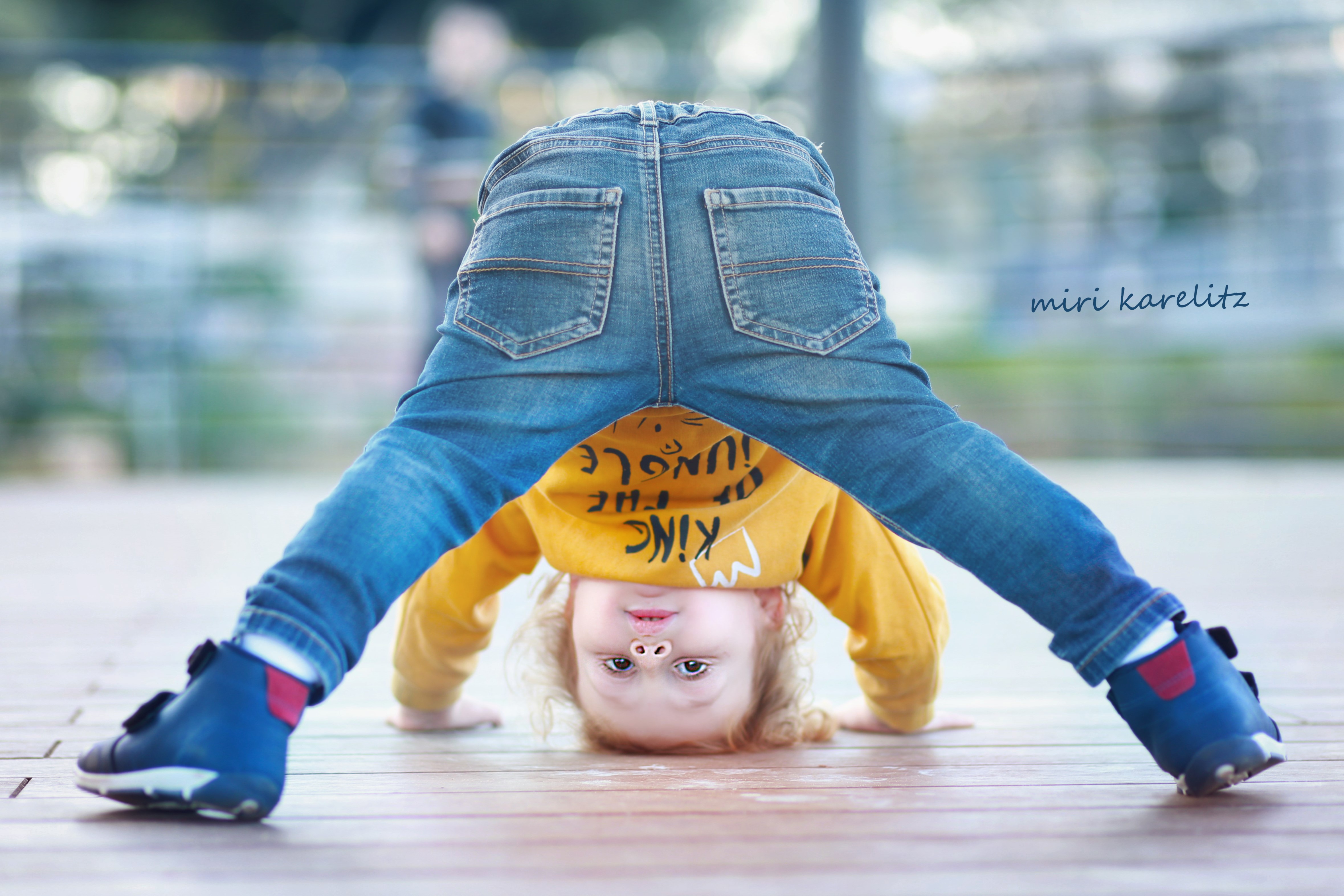 צילומי חלאקה