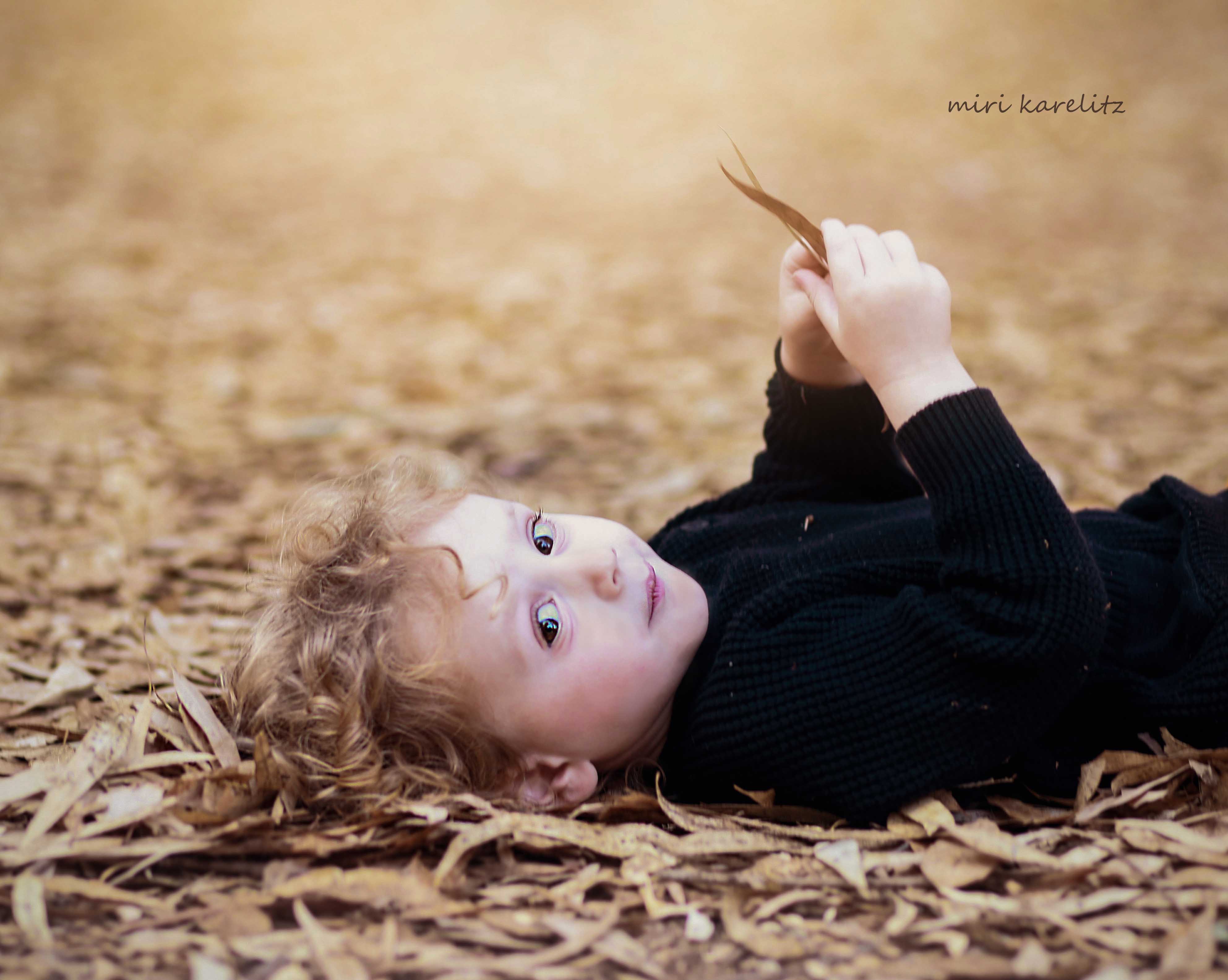 צילומי חלאקה