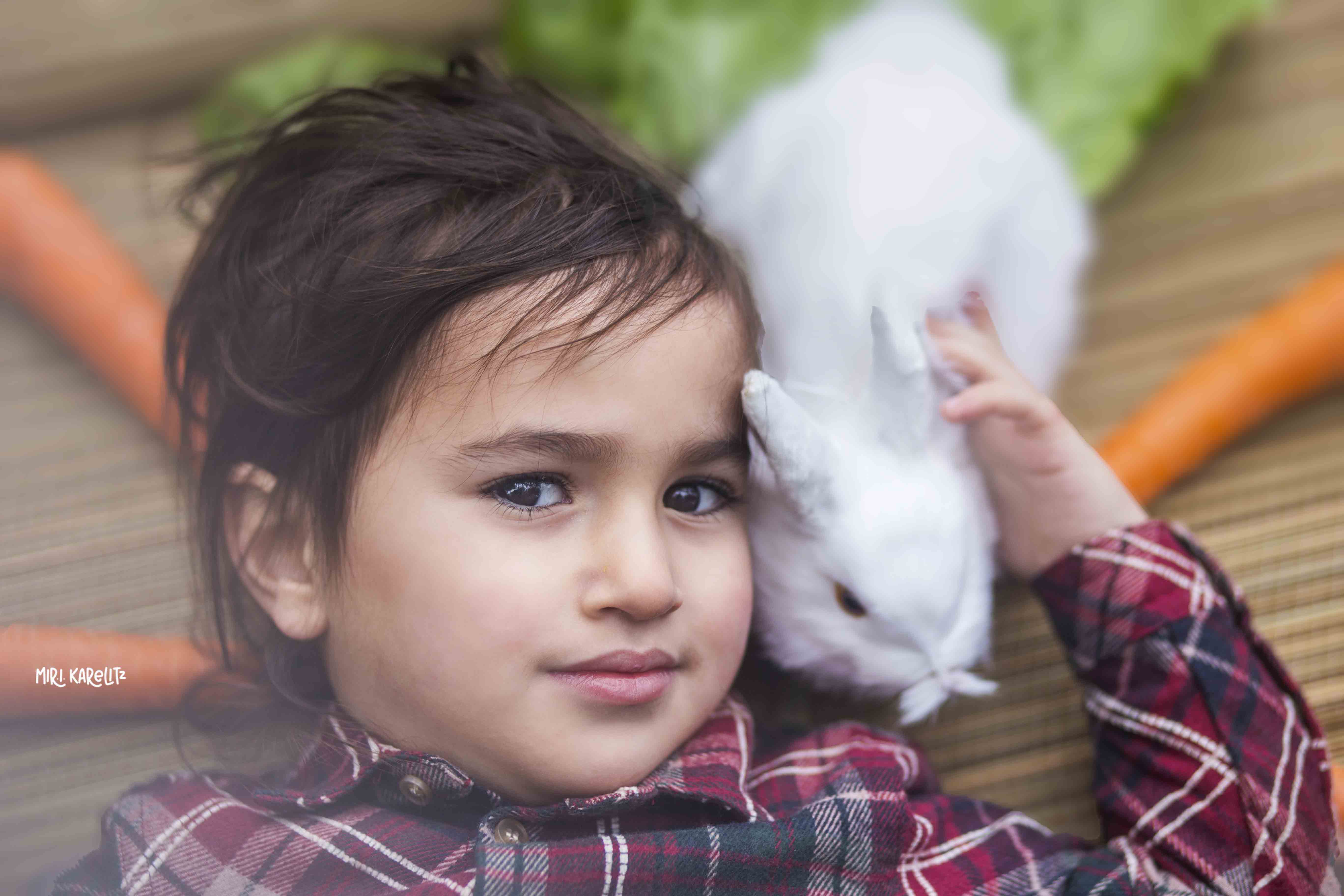 צילומי חלאקה