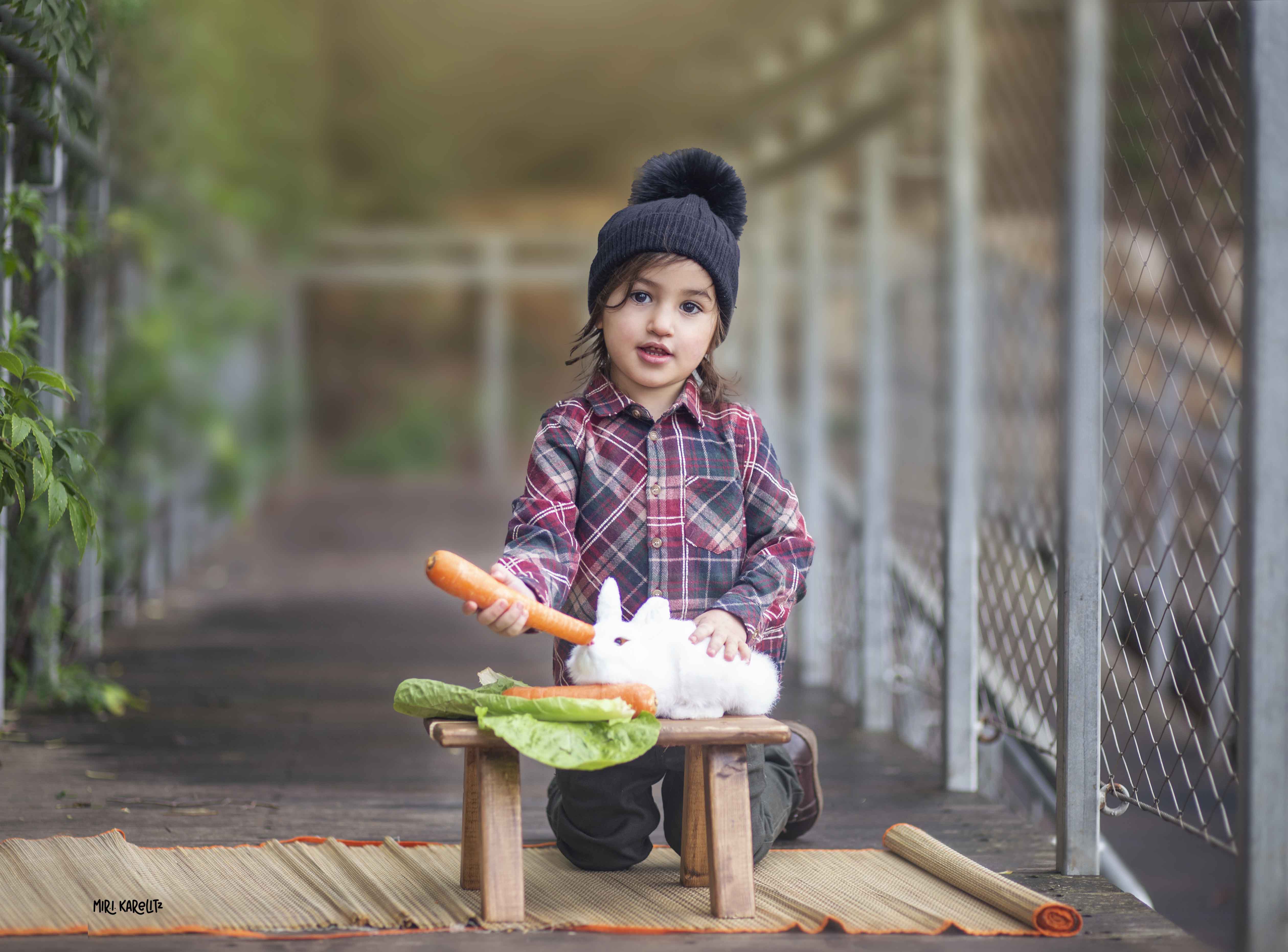 צילומי חלאקה