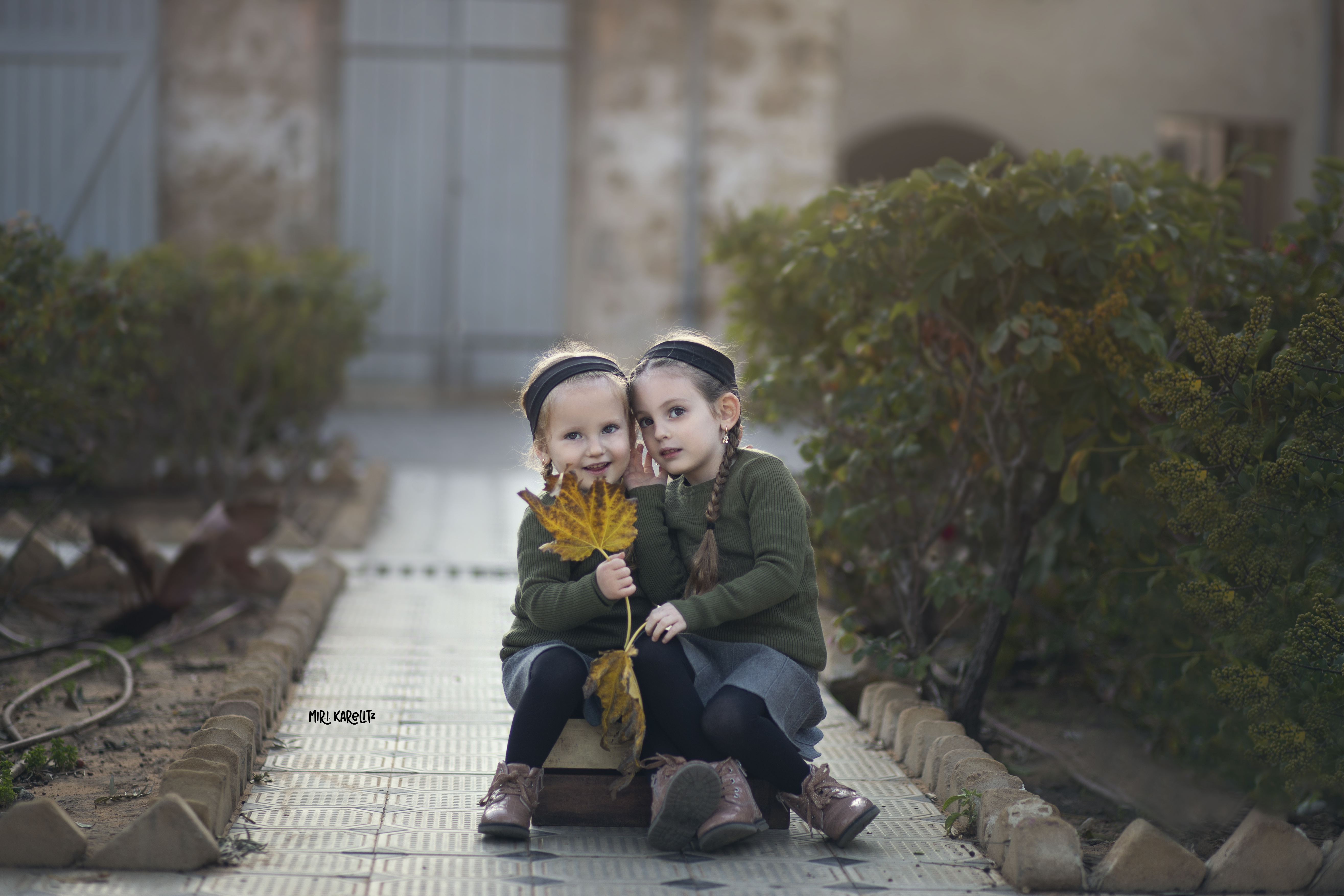 צילום משפחה